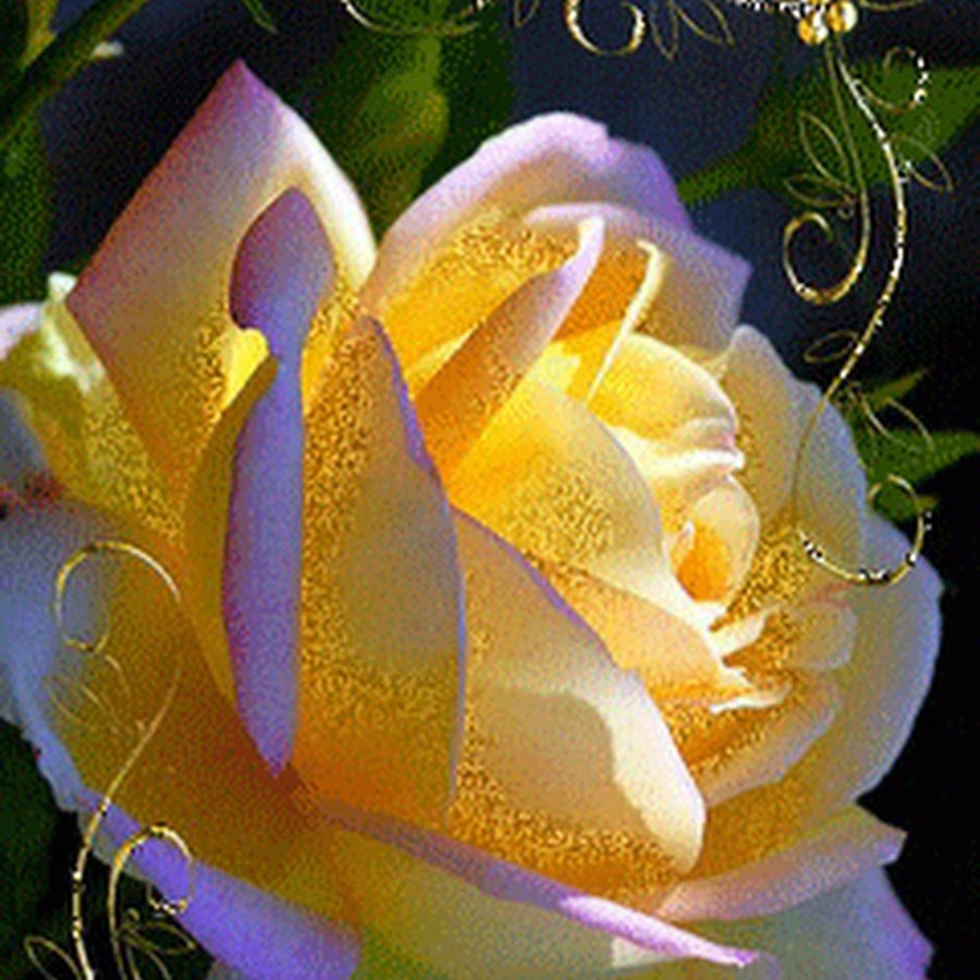 Красивые цветы мерцающие