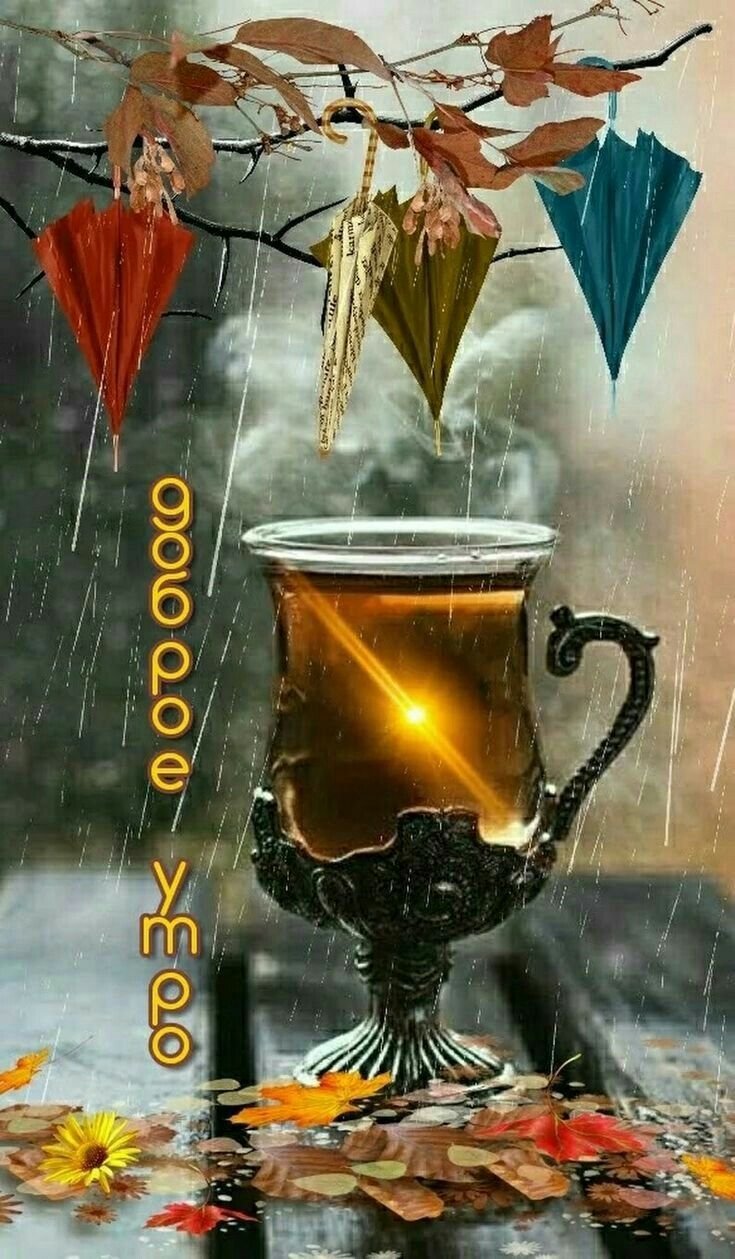 Прекрасного снежного утра и отличного настроения