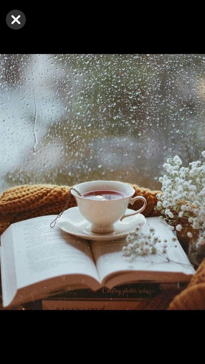 Доброе дождливое утро