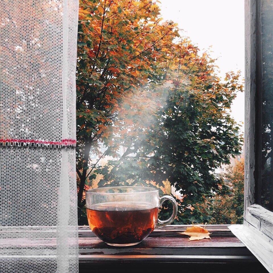 Снежное утро