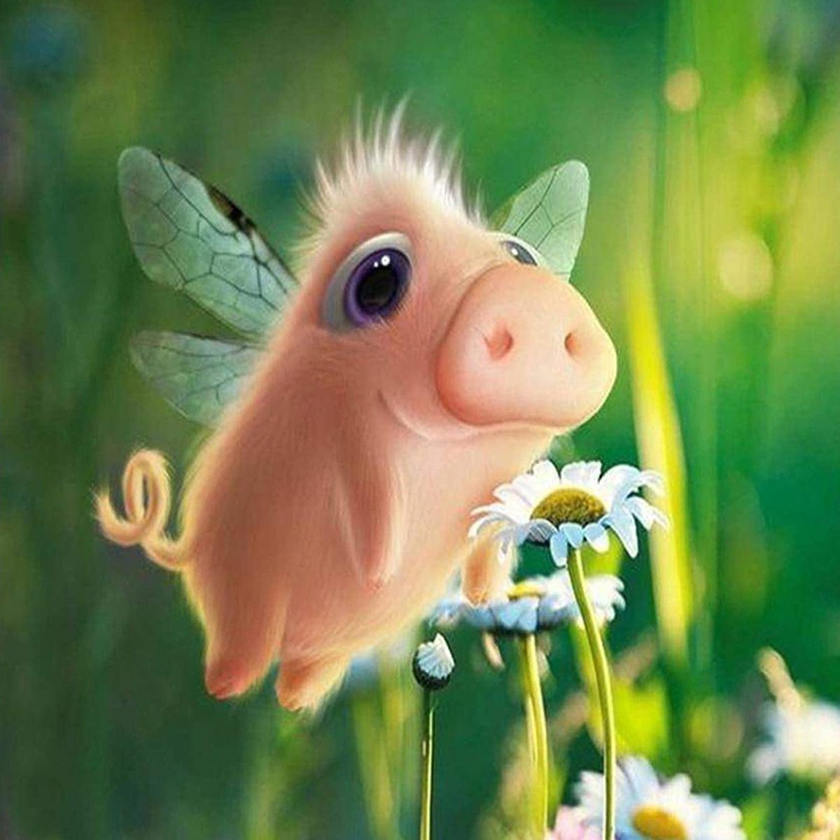 Доброе утро красавица