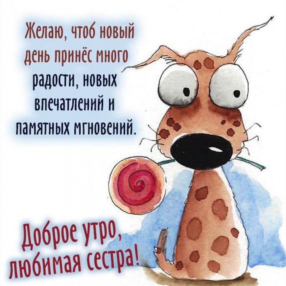 С добрым утром сестренка