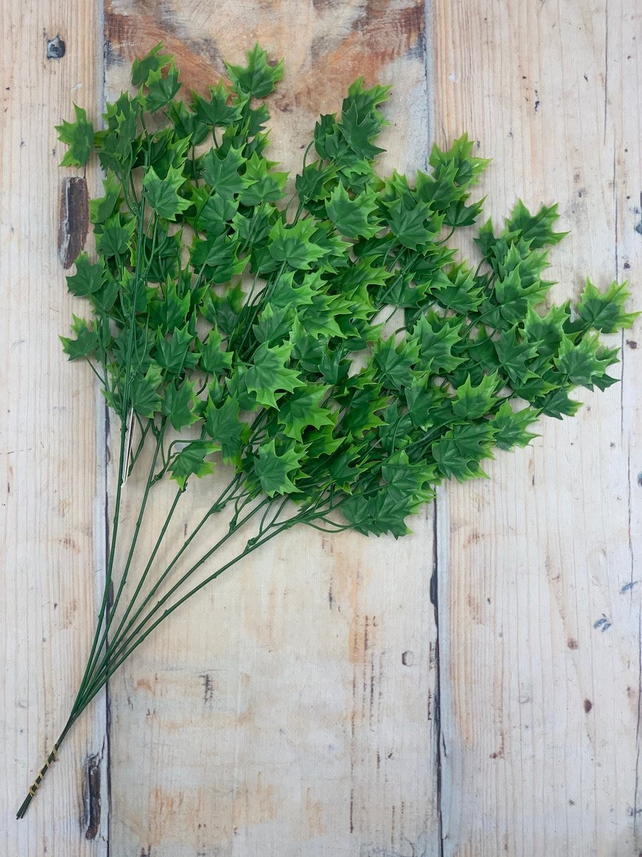 Рускус Лонг