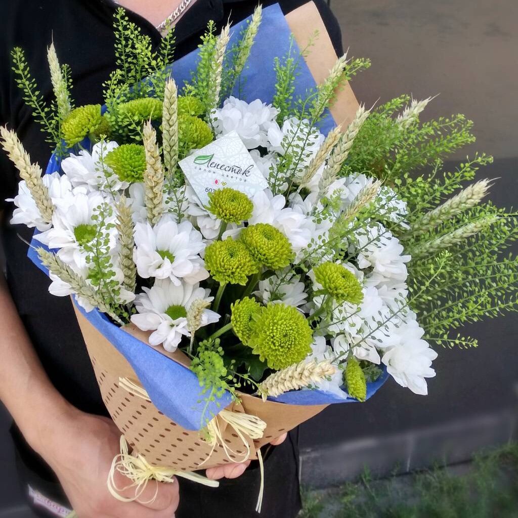 Гревиллея зелень флористика