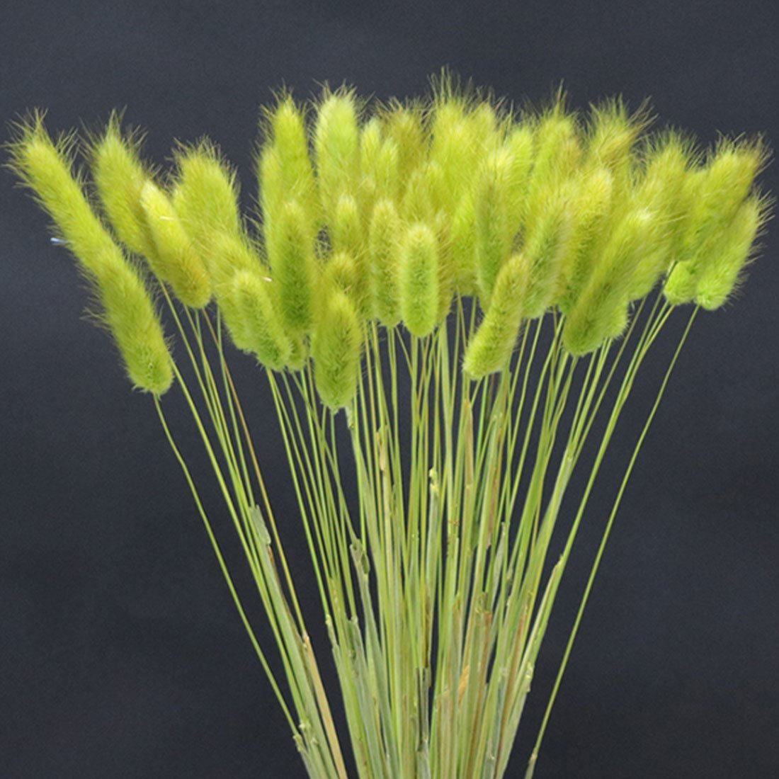 Зелень редис петрушка кинза укроп