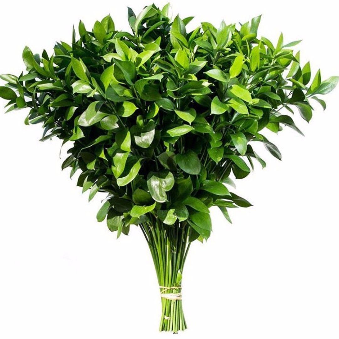 Гипсофила лимониум