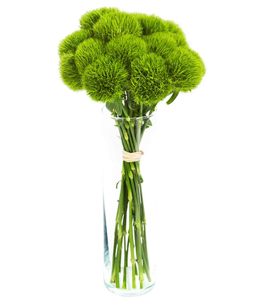 Букет зелени 91canb688023