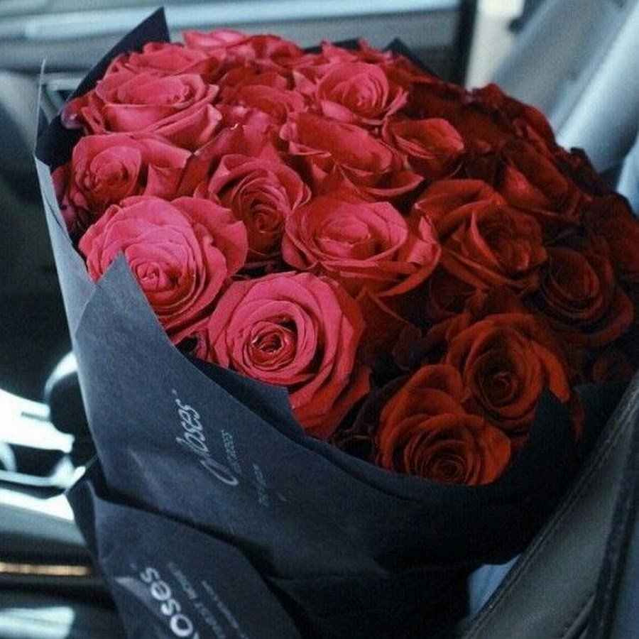 Илюза Латыпова