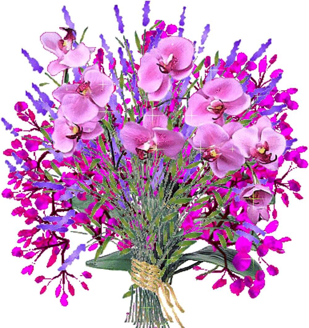 Фаленопсис Marta