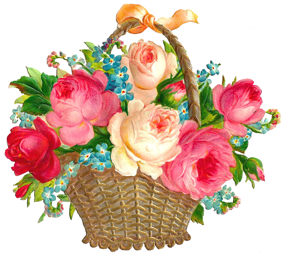 Полевые цветы акварелью