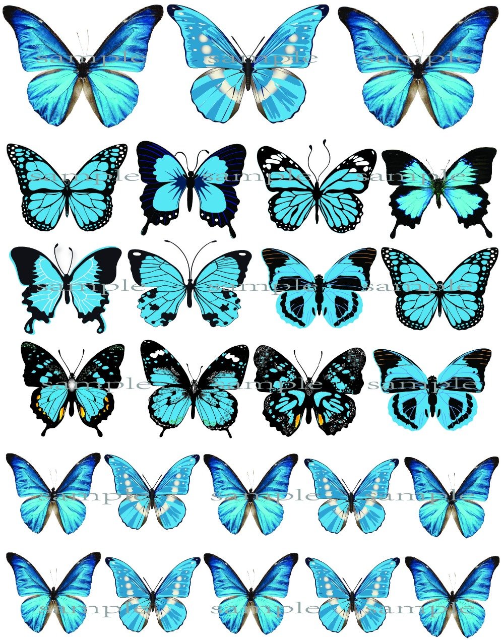 Бабочки коллаж