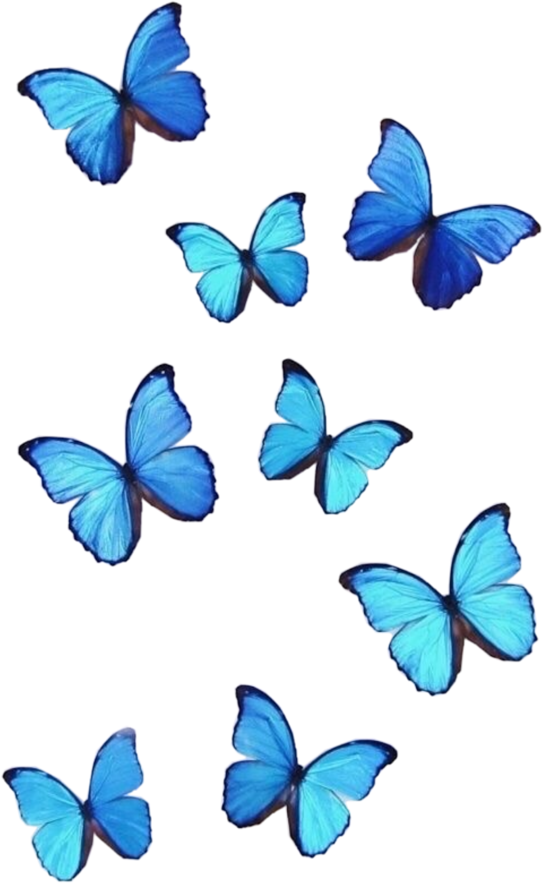 Голубой торт с бабочками