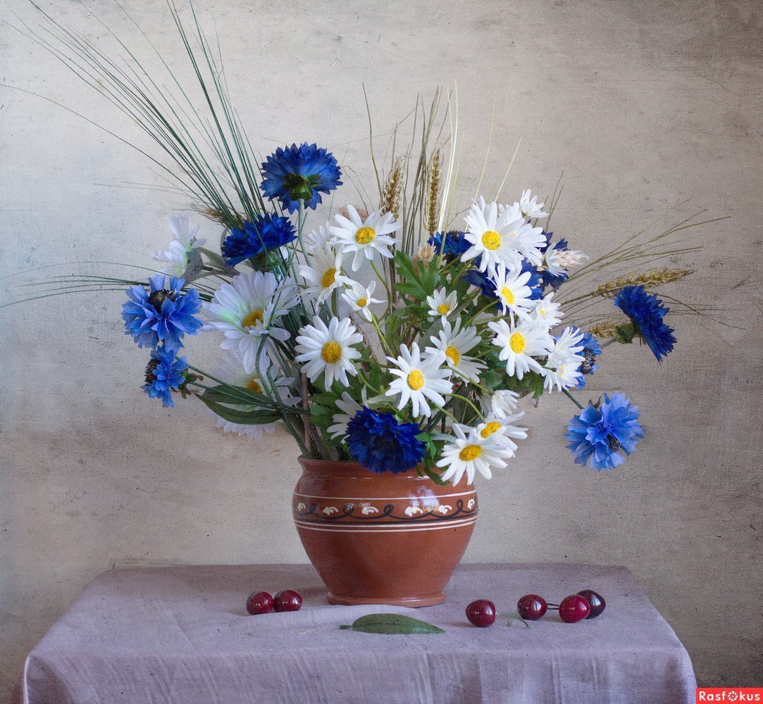 Букет ромашек и Васильков