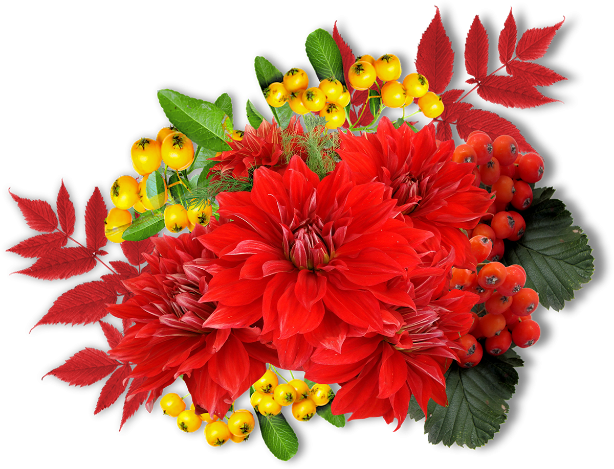 Осенний букет на белом фоне