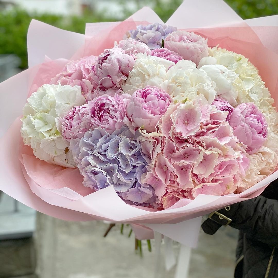 Пион Рейне гортензия