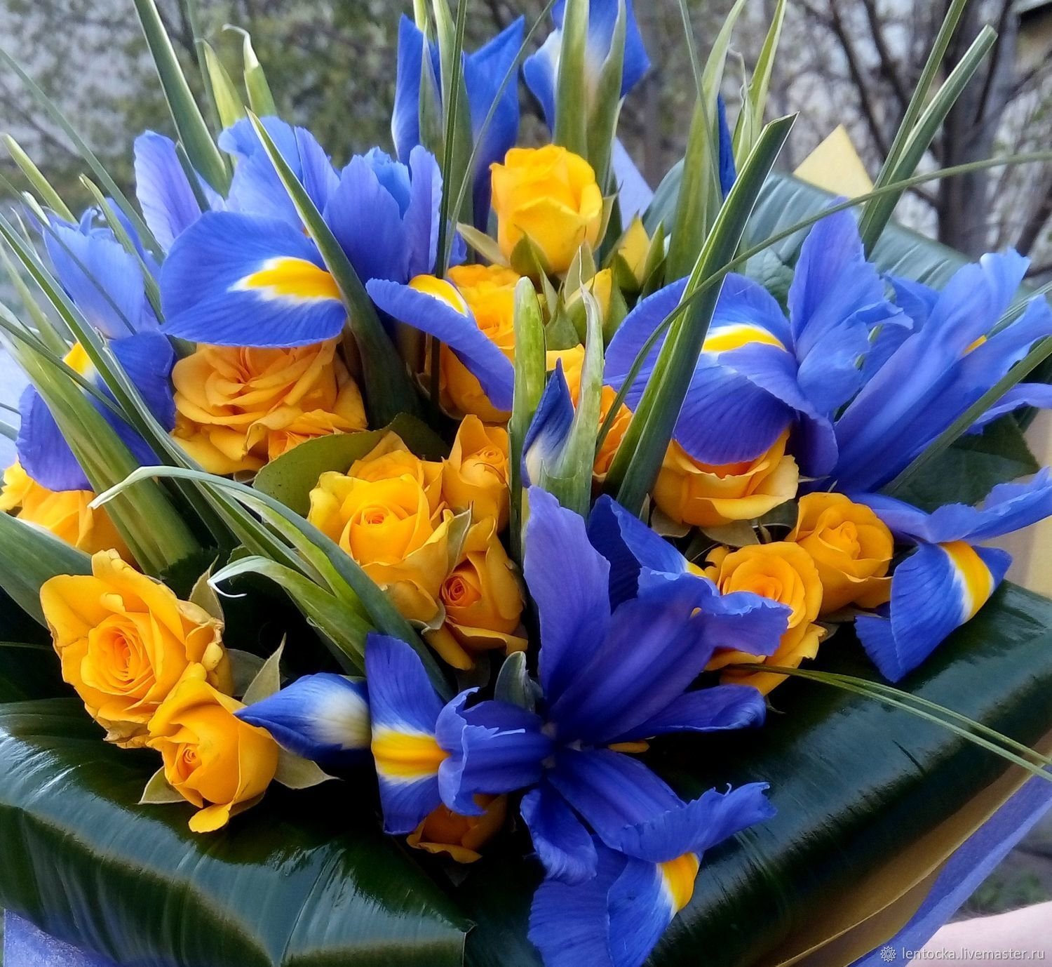 Цветы тюльпаны с ирисами
