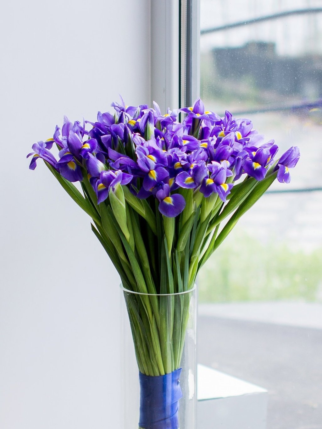 Букет ирисов