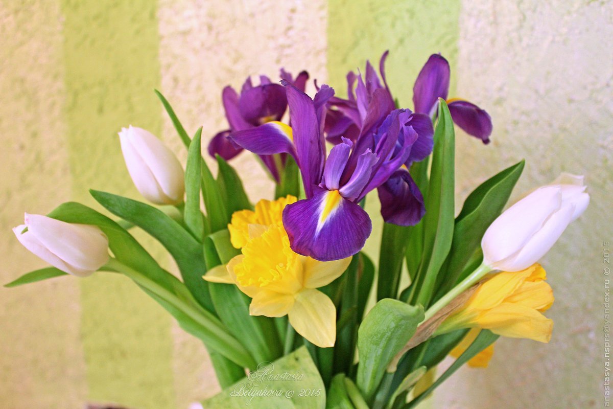 Ирис и Нарцисс