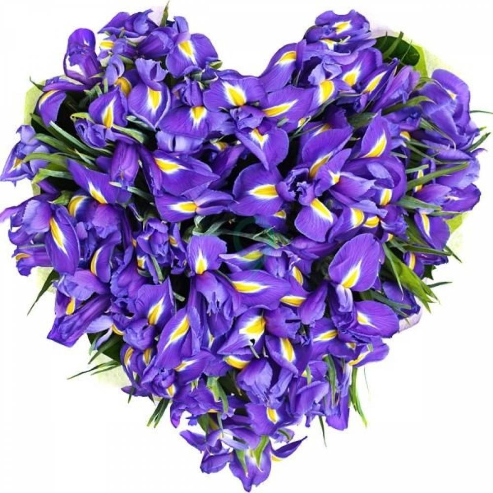 Букет ирисов