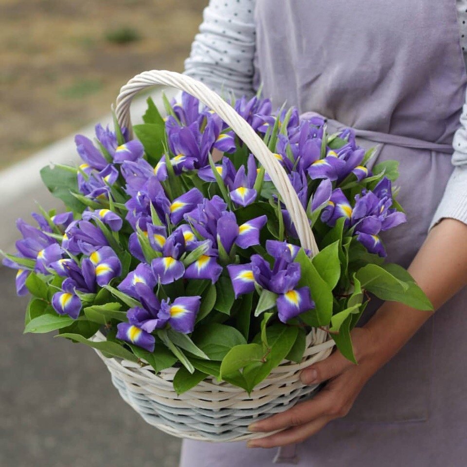 Ирисы букетные