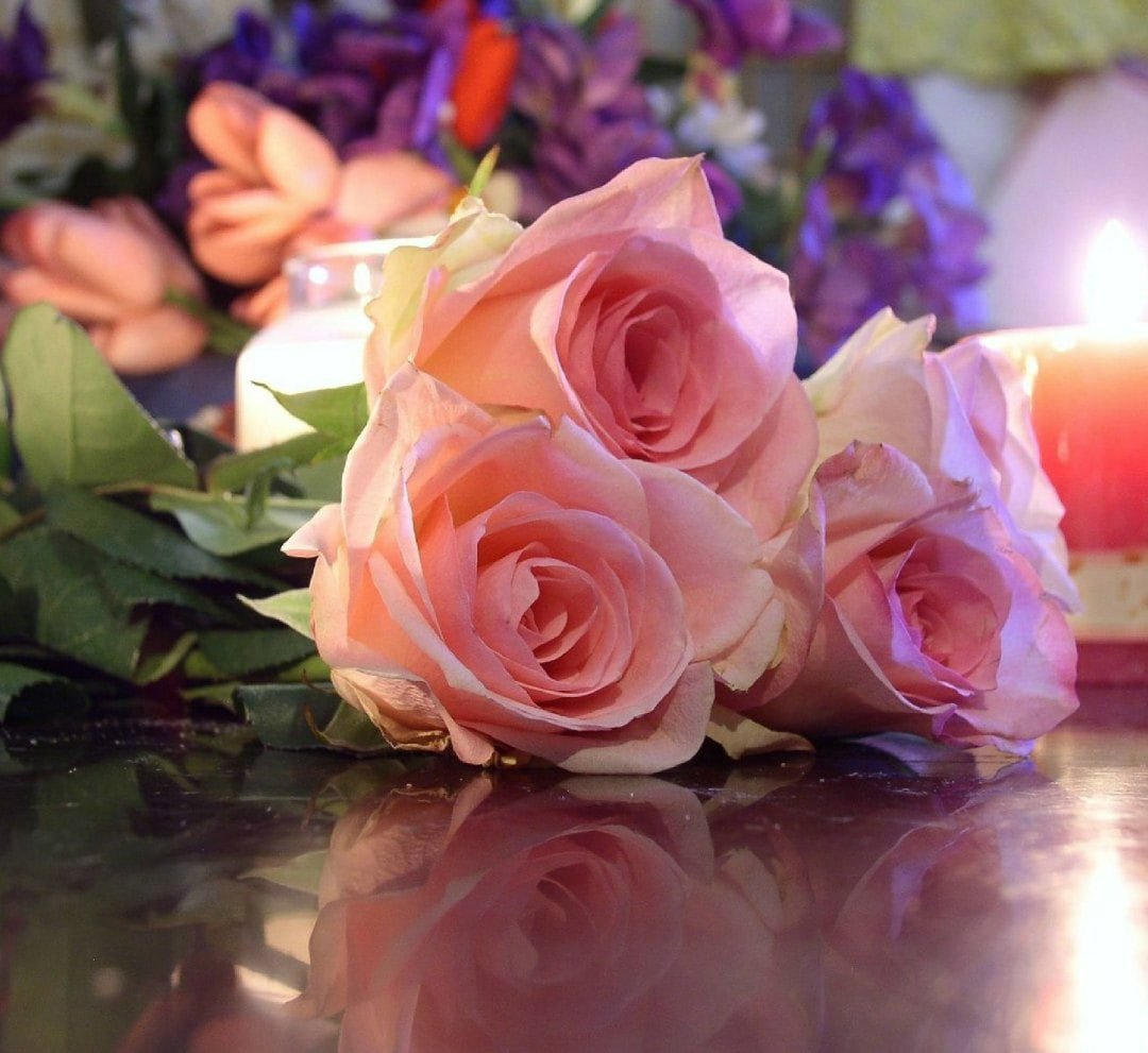 Самые замечательные цветы подруге