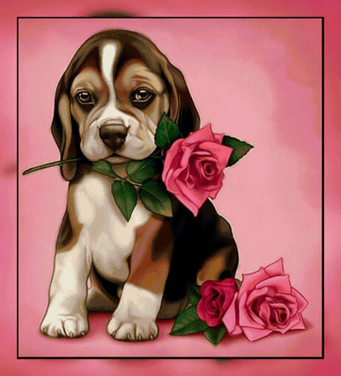 Собака с розой