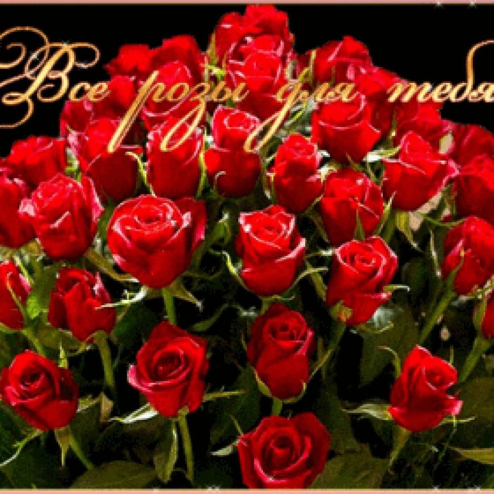 Букет красных роз для тебя