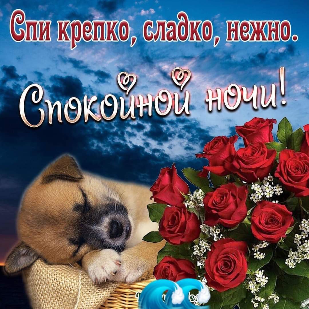 Спокойной ночи Геннадий