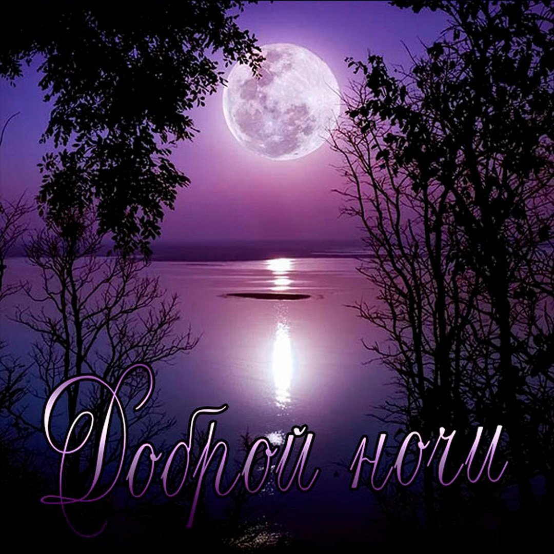 Лунная ночь