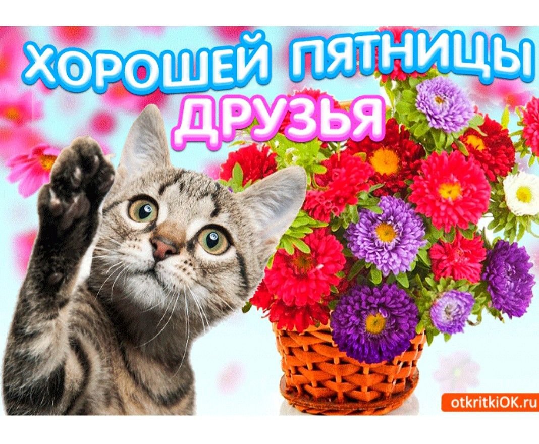 Прекрасной пятницы