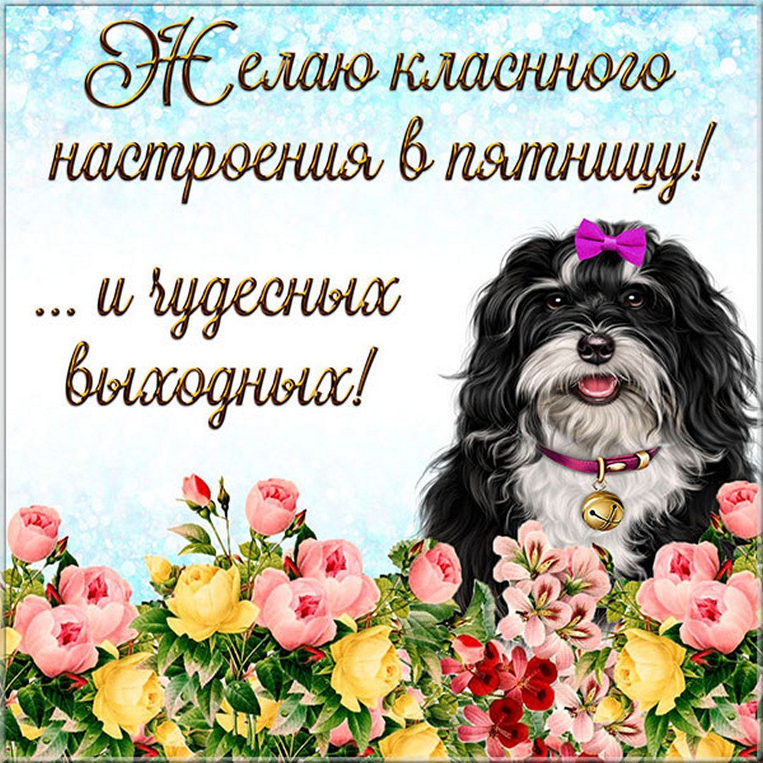 Доброе утро пятницы пожелания