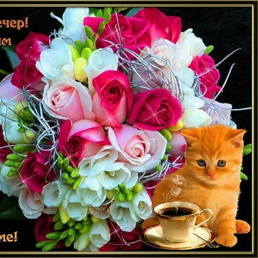 Хорошего вечера и отличного настроения