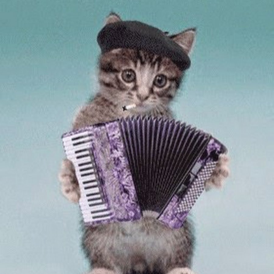 Доброго денечка