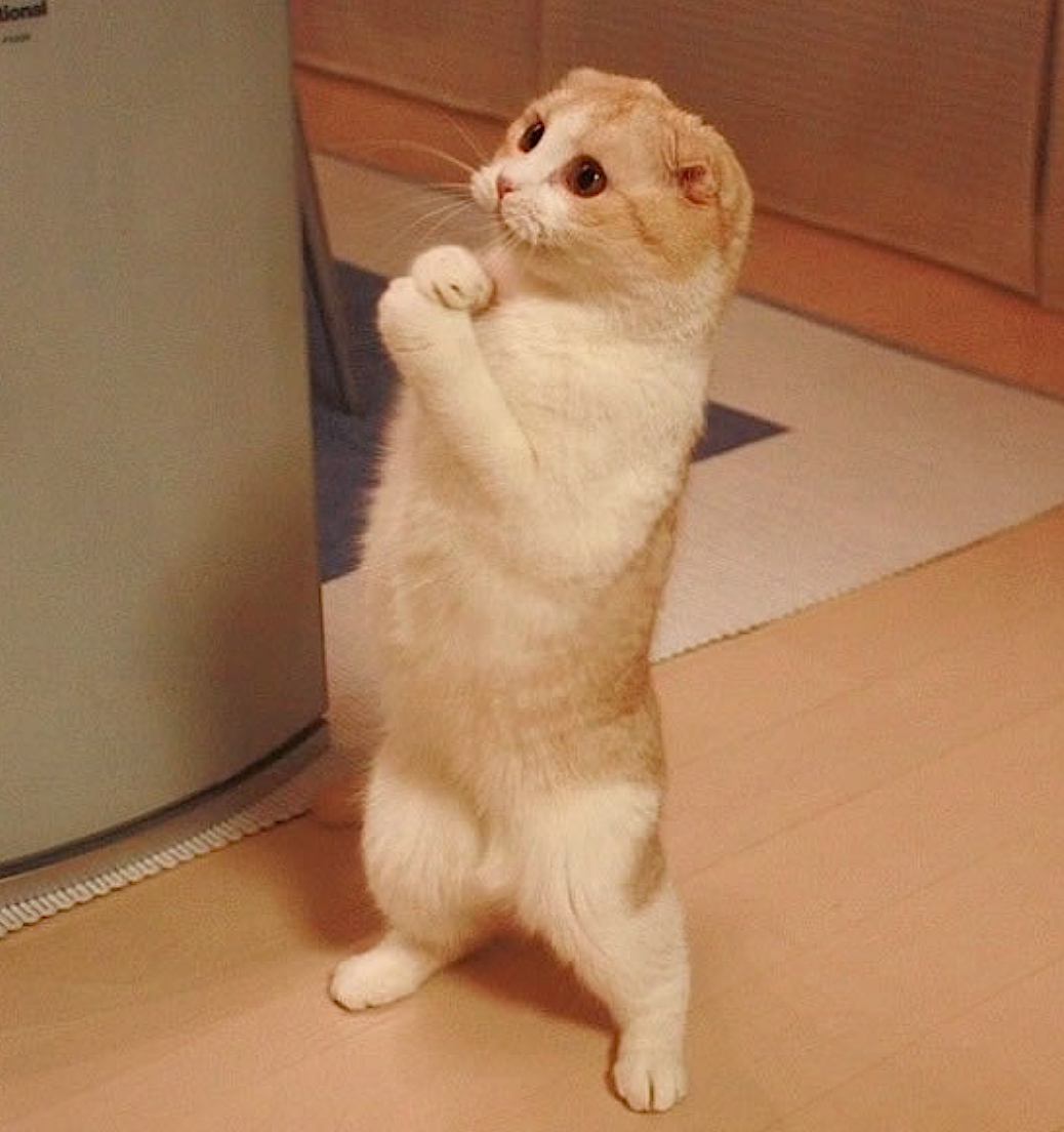 Спасибо солнышко