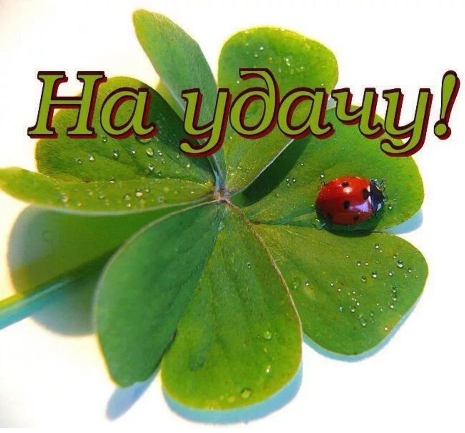 Открытки я в восторге