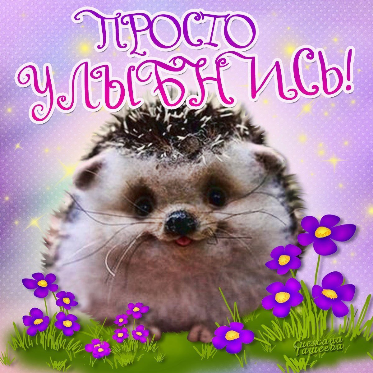 Добро пожаловать!