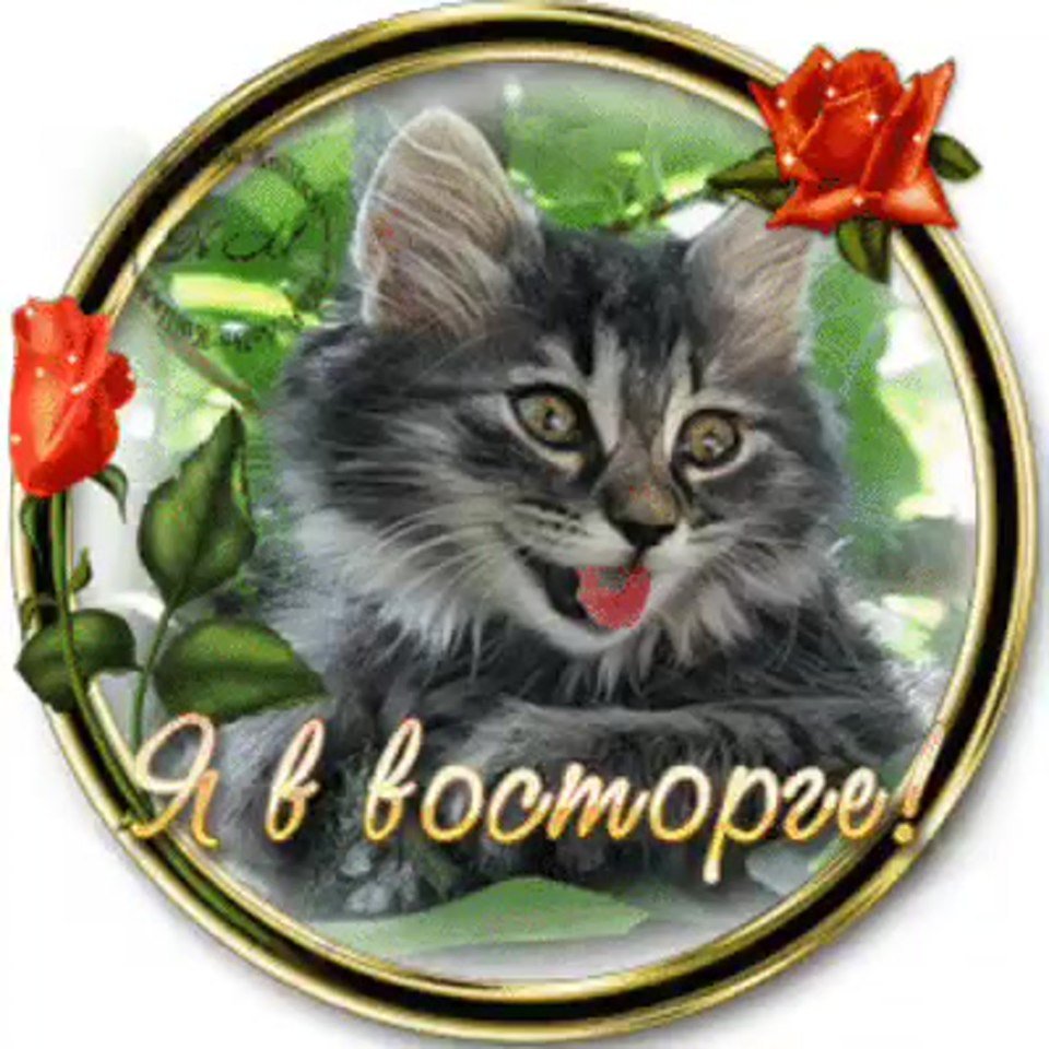 Открытки с добрым утром красивые