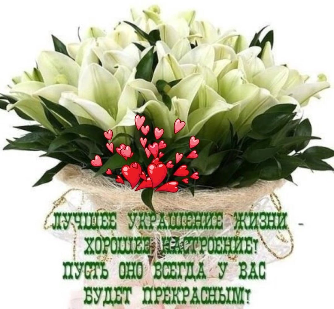 Открытки улыбнись