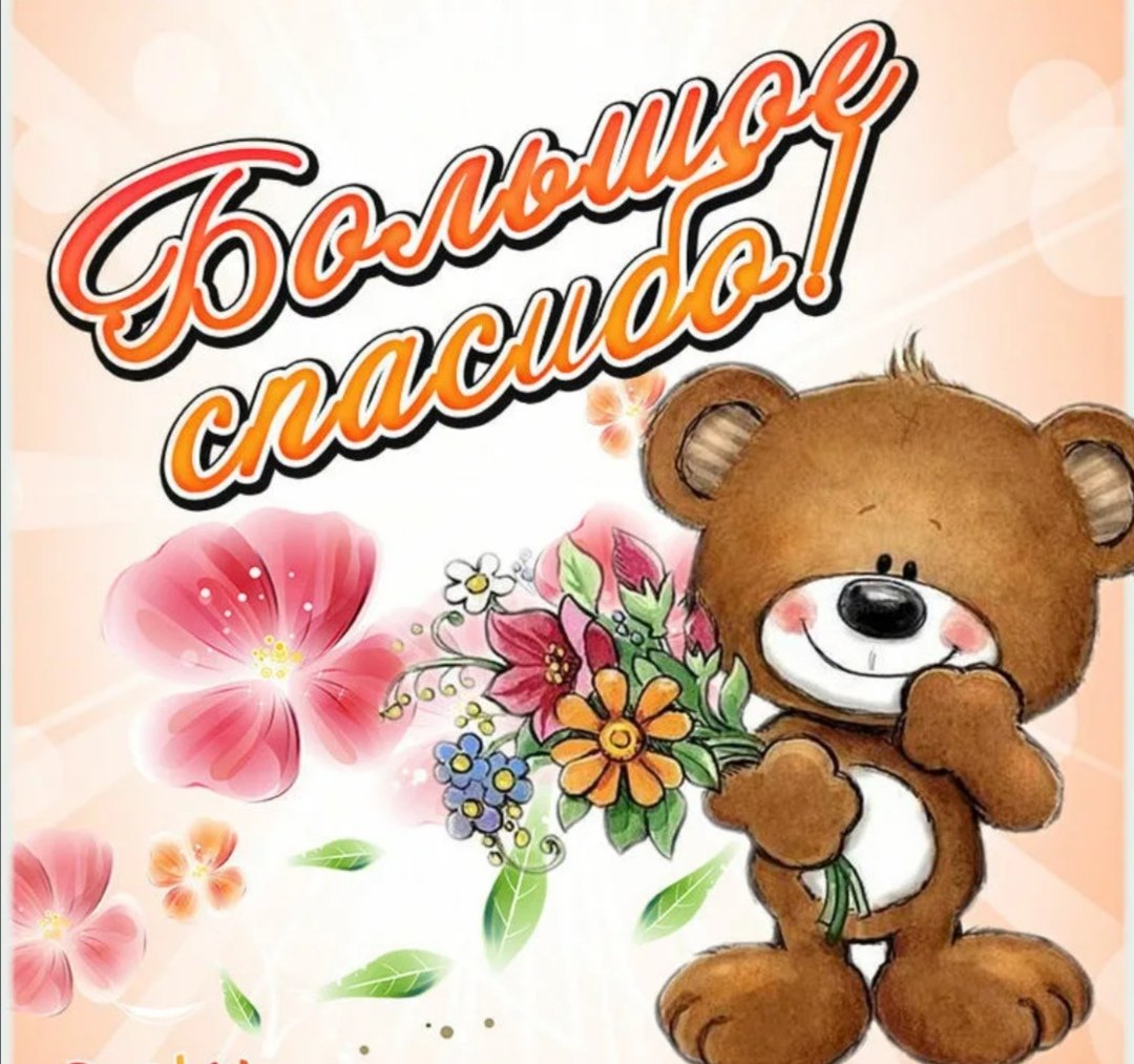 Выздоравливай любимый