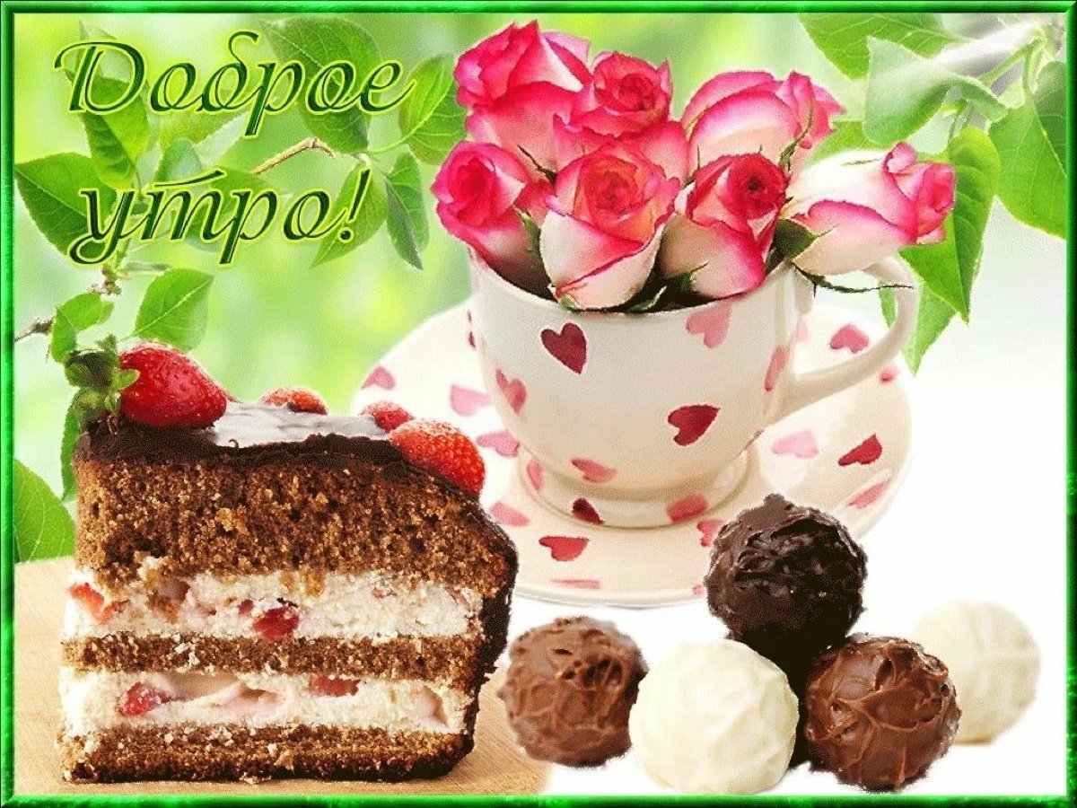 Доброе утро цветы