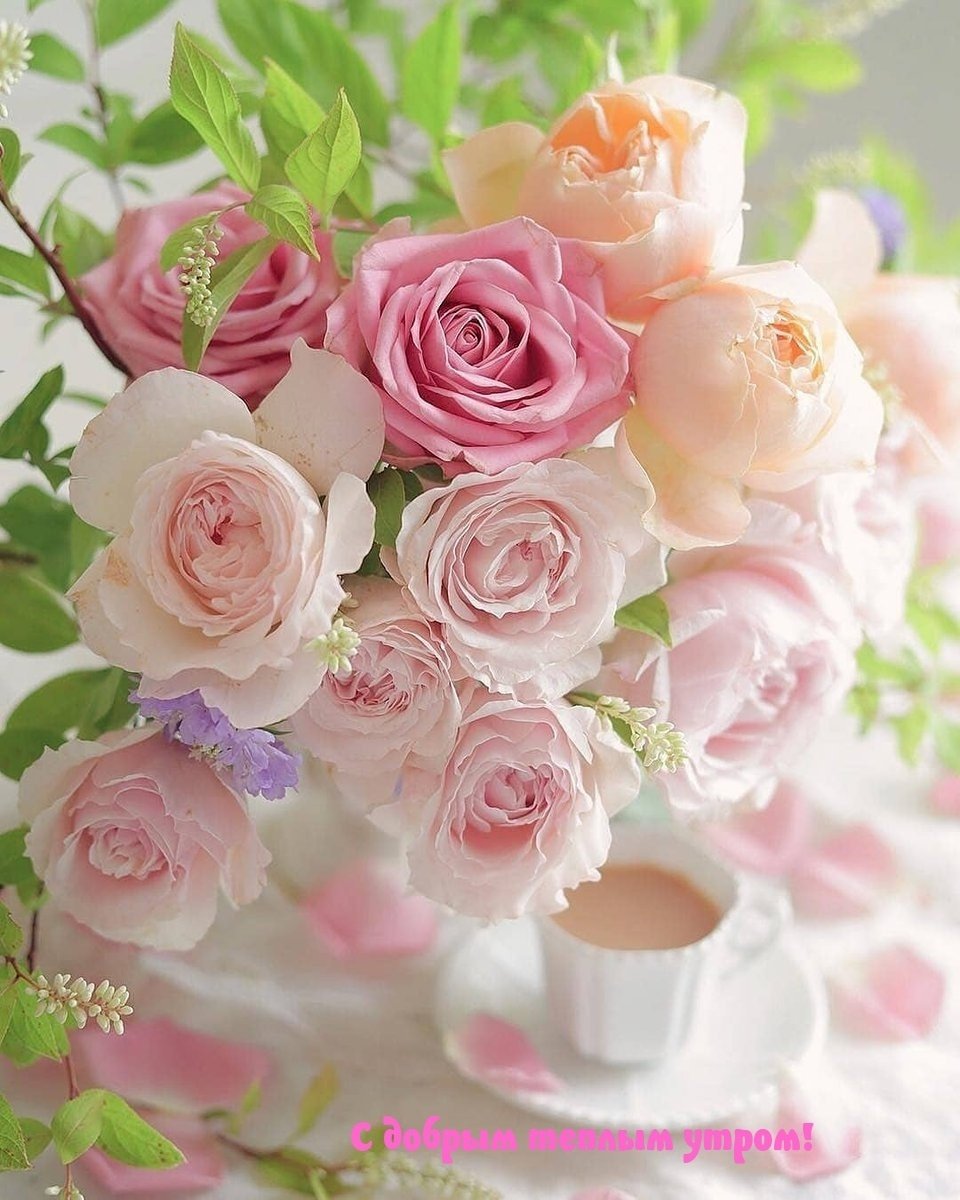 Красивые поздравления с добрым утром