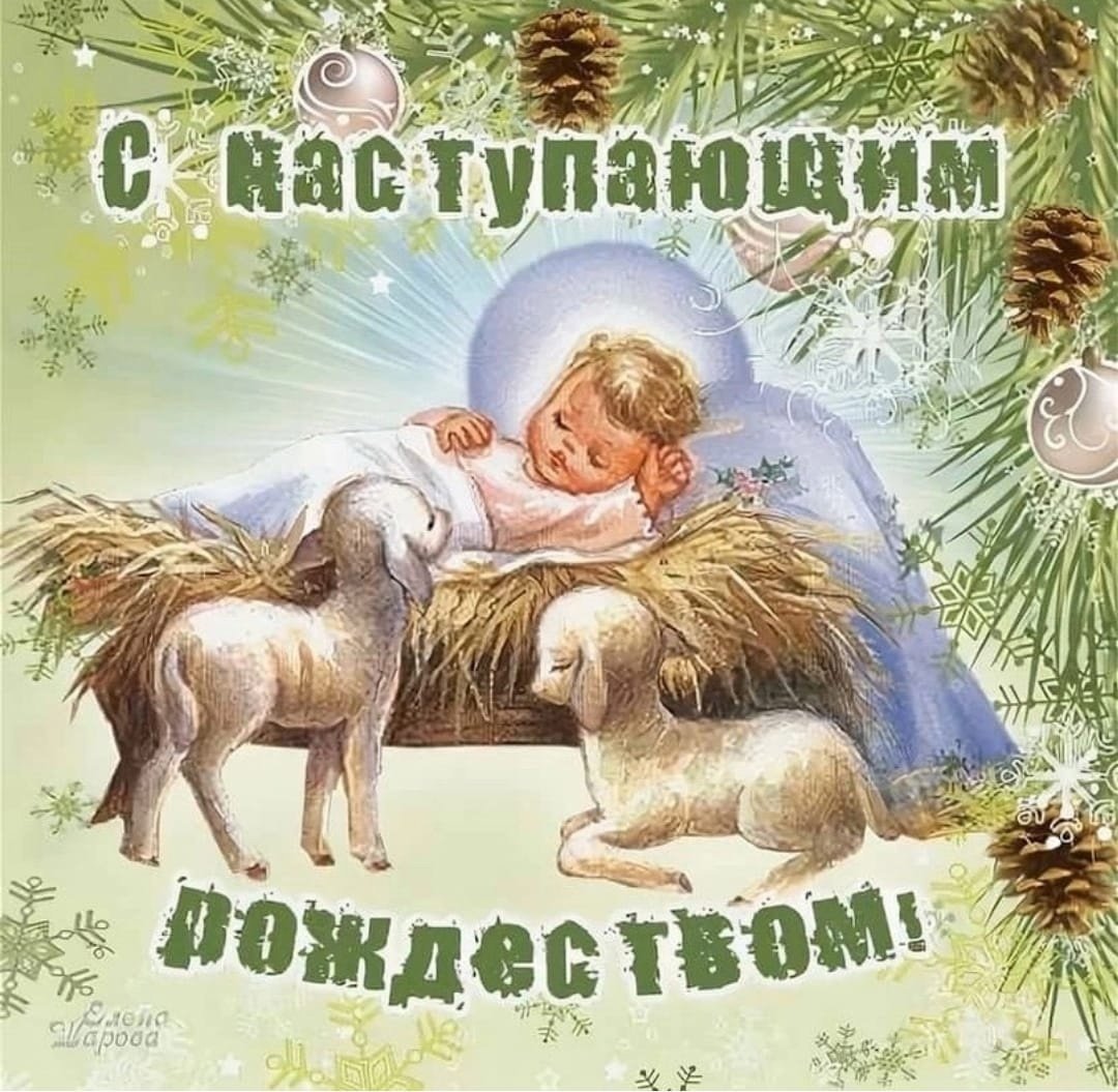 С рождественским Сочельником открытки