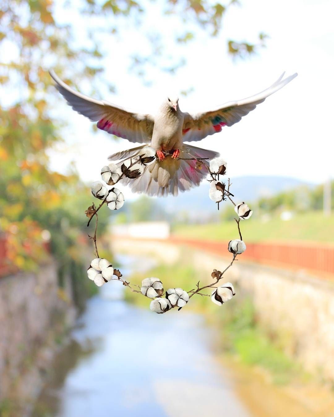 С субботой христианские открытки