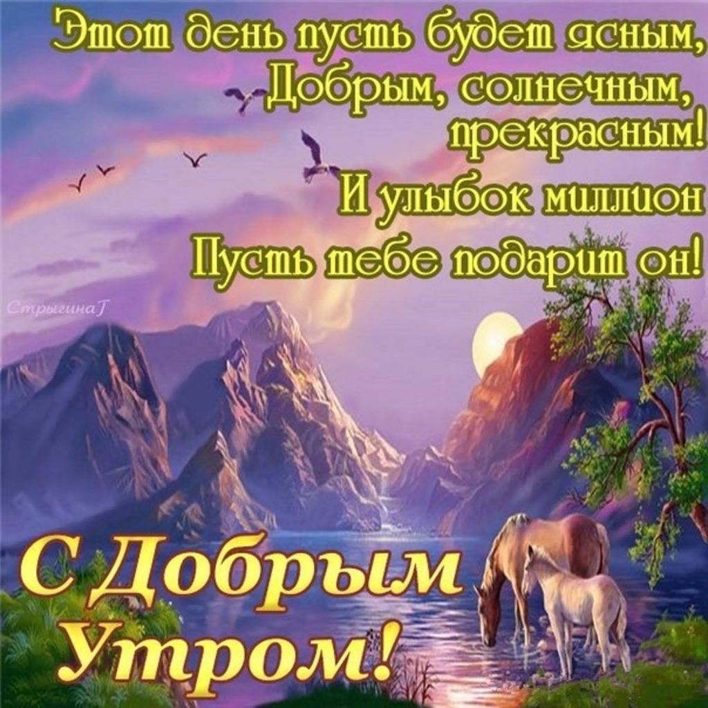 Доброе утро цитаты