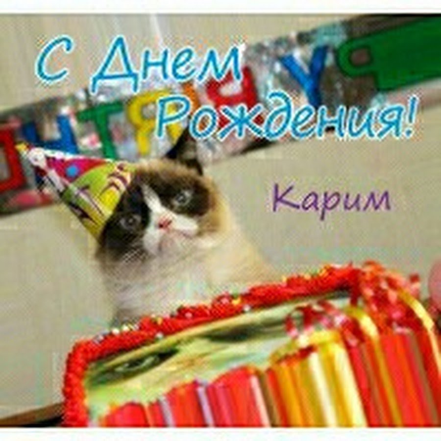 Грустный кот день рождения