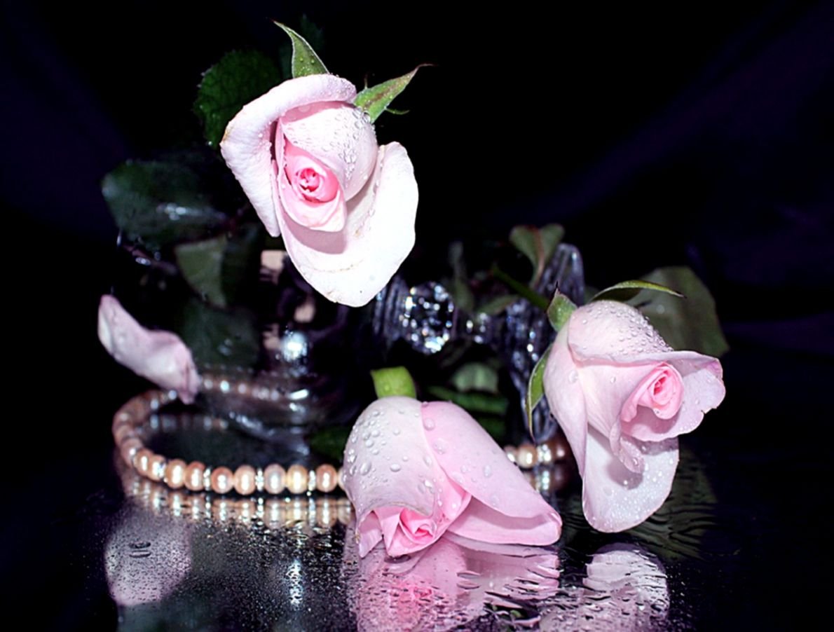 С днем рождения