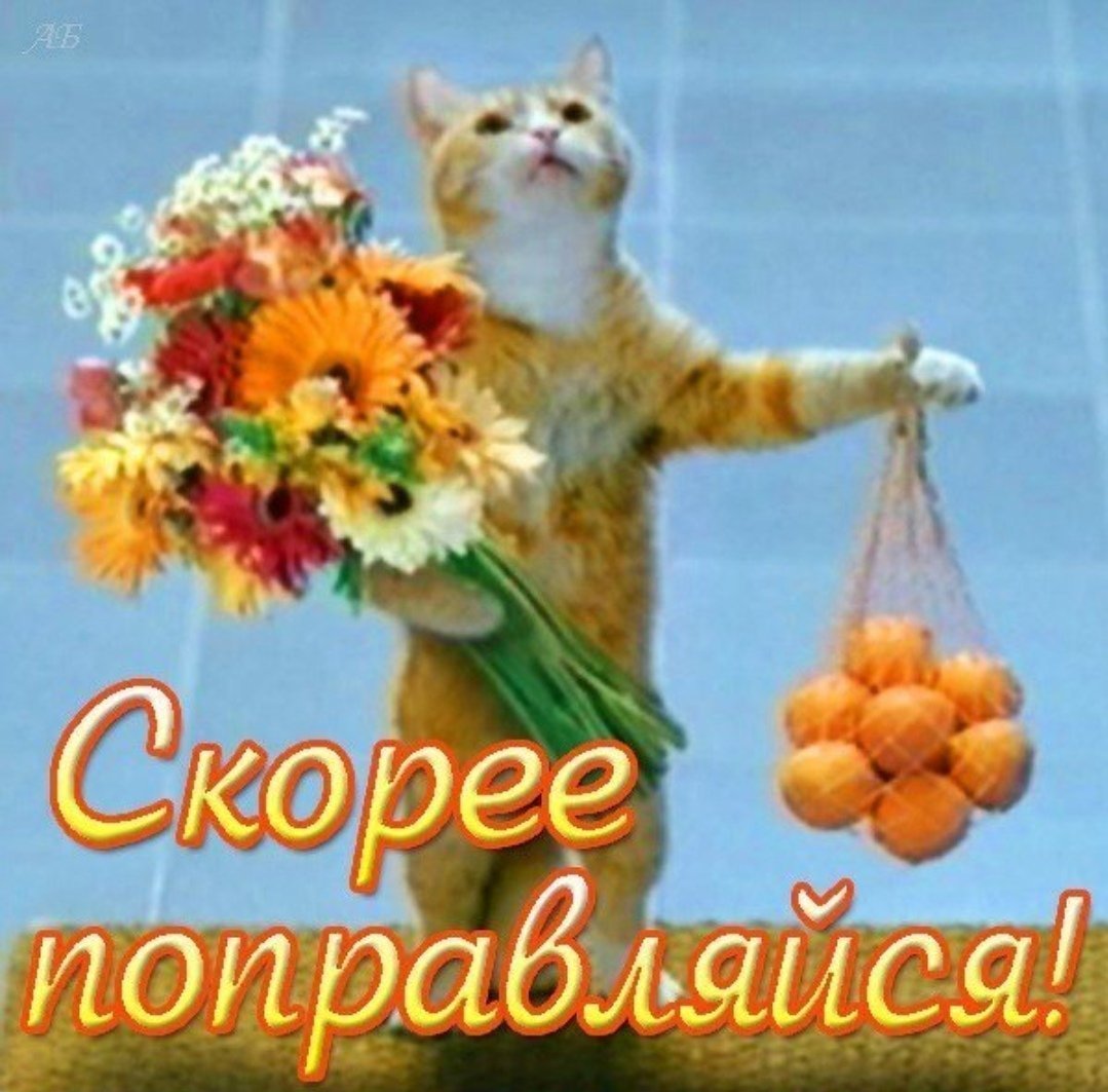 Пожелания выздоровления