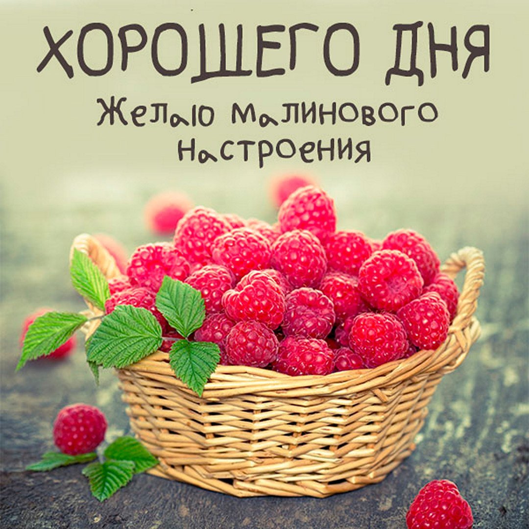 Выздоравливай картинки