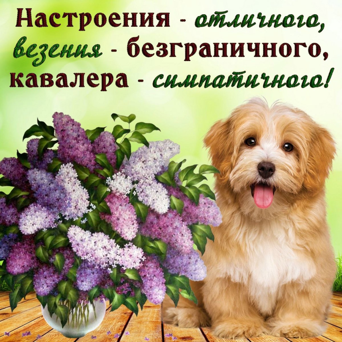 Открытка "хорошего настроения"