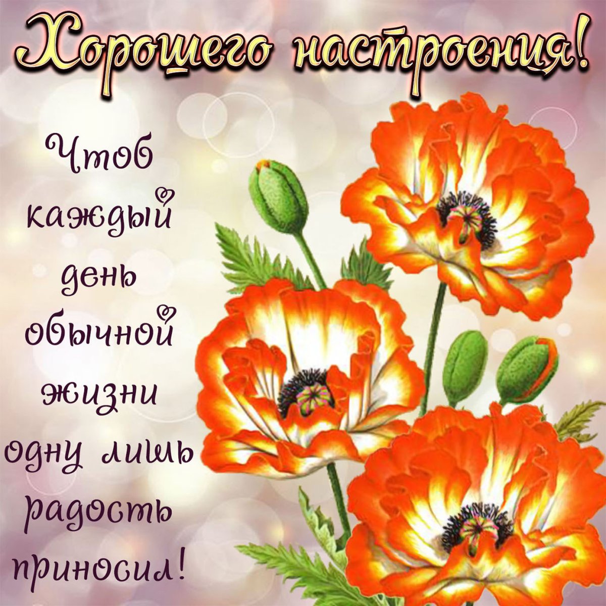 Открытка "хорошего настроения"